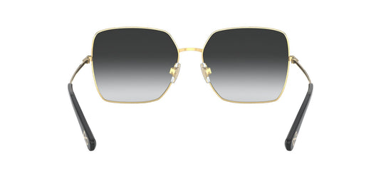 Dolce & Gabbana DG2242 Ladies Sunglasses