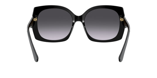 Dolce & Gabbana DG4385 Ladies Sunglasses