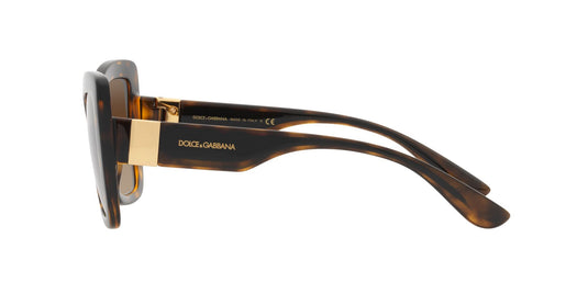 Dolce & Gabbana DG6170 Ladies Sunglasses