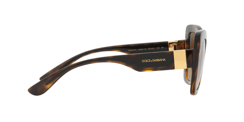 Load image into Gallery viewer, Dolce &amp; Gabbana DG6170 Ladies Sunglasses
