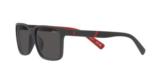 Polo PH4189U Gents Sunglasses