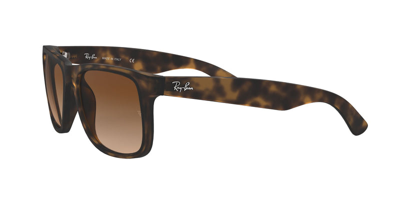 Load image into Gallery viewer, Ray-Ban RB4165 Gents Sunglasses
