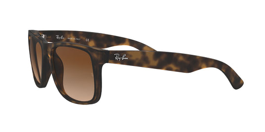 Ray-Ban RB4165 Gents Sunglasses