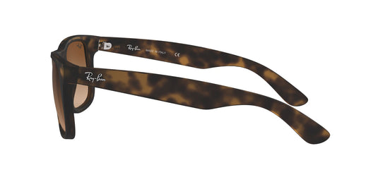 Ray-Ban RB4165 Gents Sunglasses