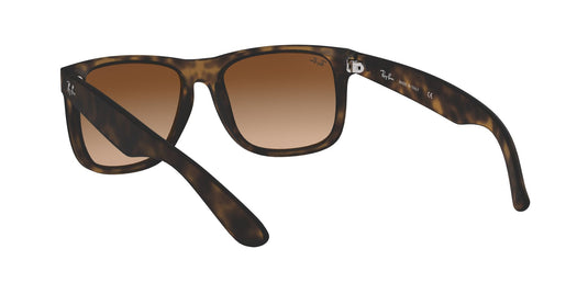 Ray-Ban RB4165 Gents Sunglasses