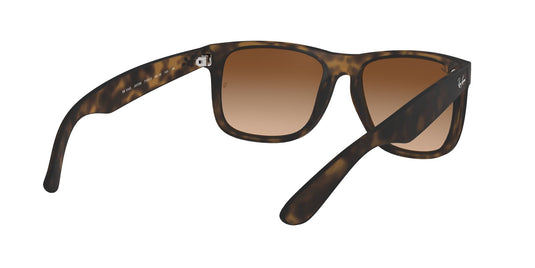 Ray-Ban RB4165 Gents Sunglasses