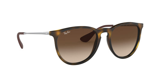 Ray-Ban RB4171 ladies Sunglasses