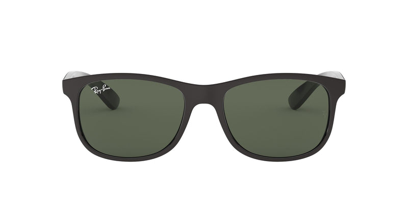 Load image into Gallery viewer, Ray-Ban RB4202 Gents Sunglasses
