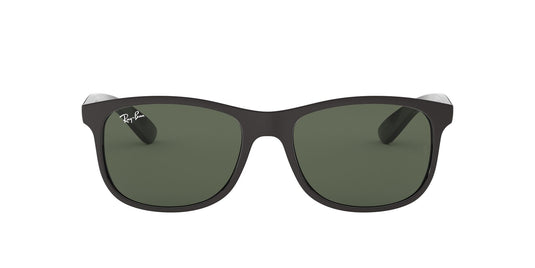 Ray-Ban RB4202 Gents Sunglasses