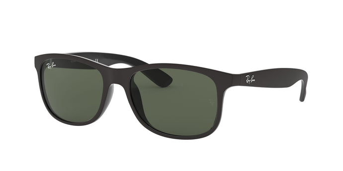 Ray-Ban RB4202 Gents Sunglasses