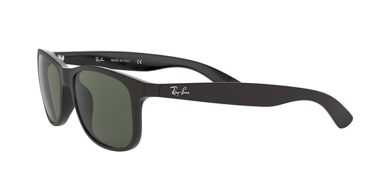 Ray-Ban RB4202 Gents Sunglasses