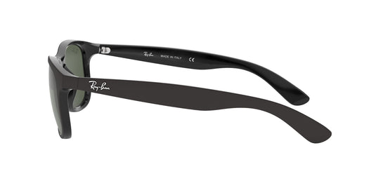 Ray-Ban RB4202 Gents Sunglasses