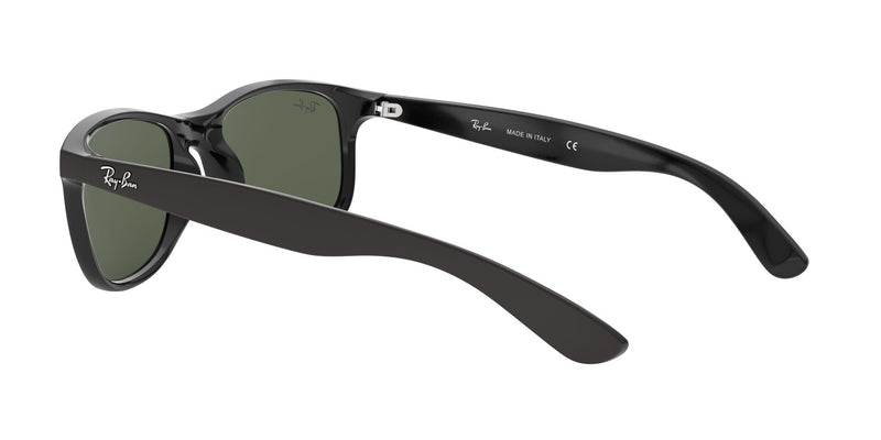 Load image into Gallery viewer, Ray-Ban RB4202 Gents Sunglasses
