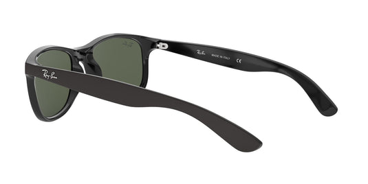 Ray-Ban RB4202 Gents Sunglasses