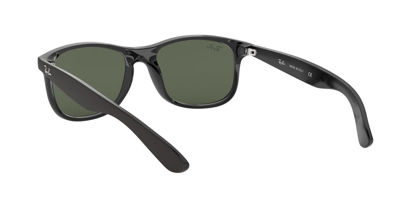 Load image into Gallery viewer, Ray-Ban RB4202 Gents Sunglasses
