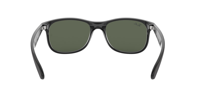 Load image into Gallery viewer, Ray-Ban RB4202 Gents Sunglasses
