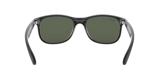 Ray-Ban RB4202 Gents Sunglasses