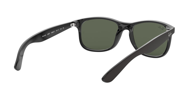 Load image into Gallery viewer, Ray-Ban RB4202 Gents Sunglasses
