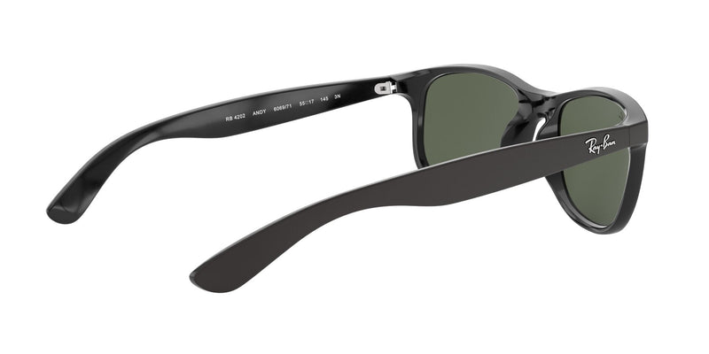 Load image into Gallery viewer, Ray-Ban RB4202 Gents Sunglasses
