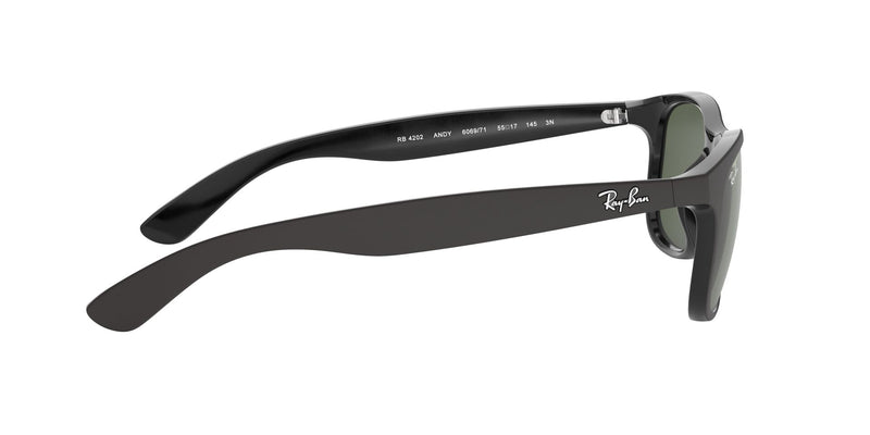 Load image into Gallery viewer, Ray-Ban RB4202 Gents Sunglasses
