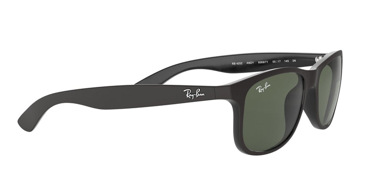 Load image into Gallery viewer, Ray-Ban RB4202 Gents Sunglasses
