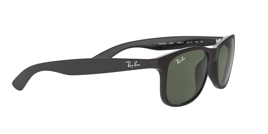 Ray-Ban RB4202 Gents Sunglasses