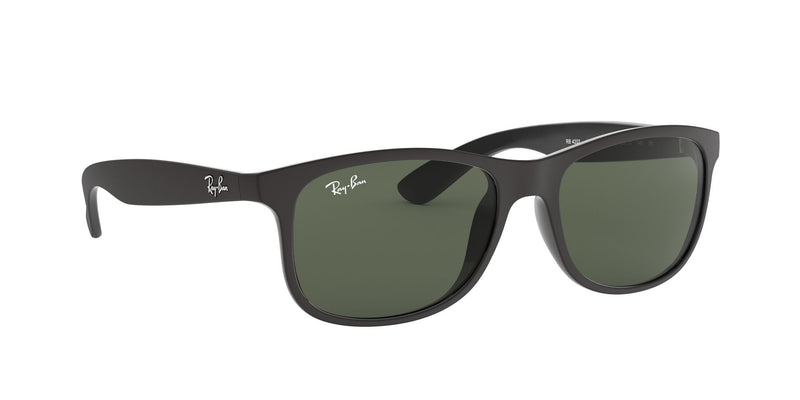 Load image into Gallery viewer, Ray-Ban RB4202 Gents Sunglasses
